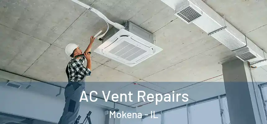  AC Vent Repairs Mokena - IL