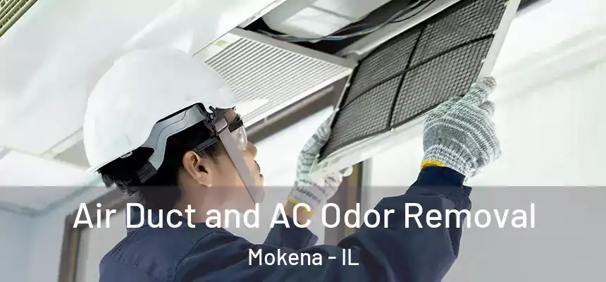  Air Duct and AC Odor Removal Mokena - IL