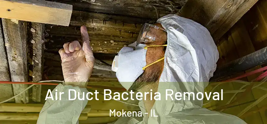  Air Duct Bacteria Removal Mokena - IL