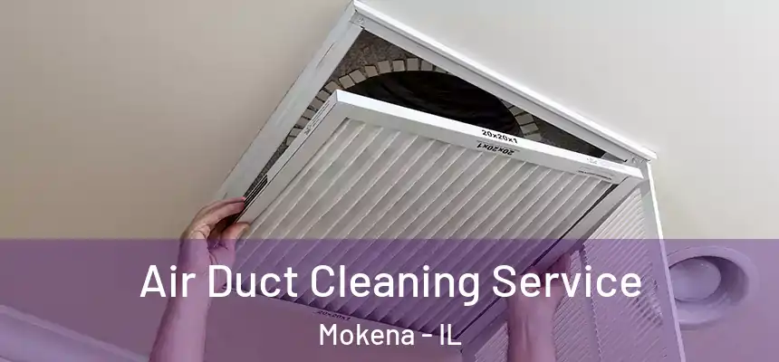  Air Duct Cleaning Service Mokena - IL
