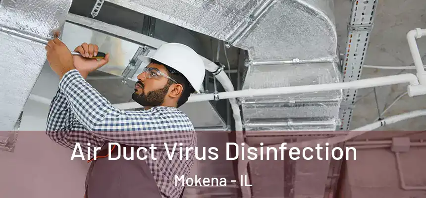  Air Duct Virus Disinfection Mokena - IL