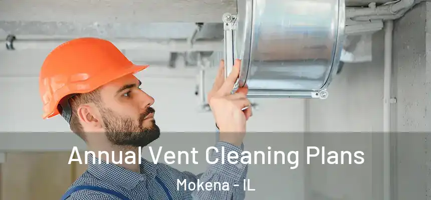  Annual Vent Cleaning Plans Mokena - IL