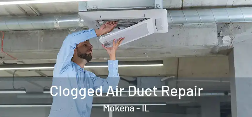  Clogged Air Duct Repair Mokena - IL