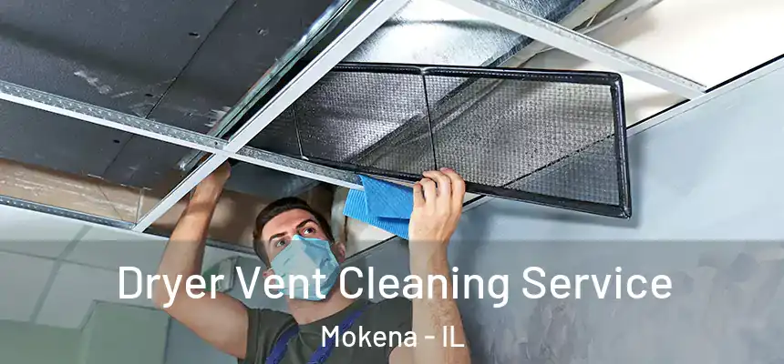  Dryer Vent Cleaning Service Mokena - IL
