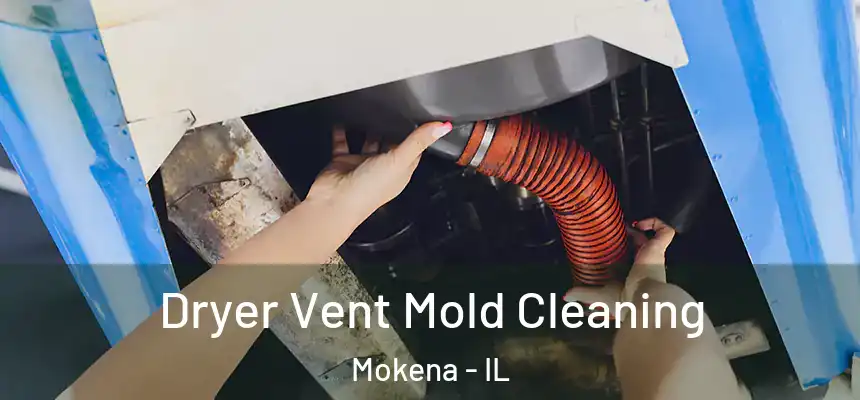  Dryer Vent Mold Cleaning Mokena - IL