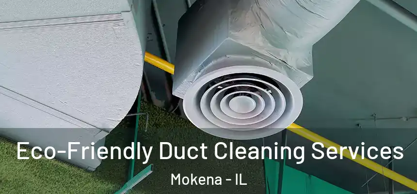  Eco-Friendly Duct Cleaning Services Mokena - IL