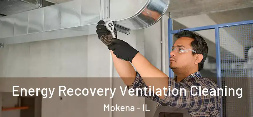  Energy Recovery Ventilation Cleaning Mokena - IL