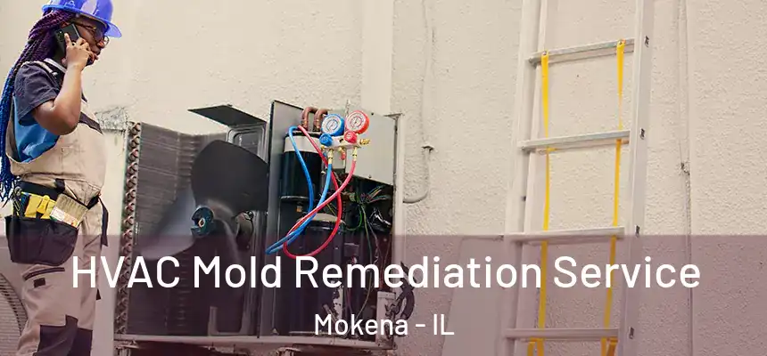  HVAC Mold Remediation Service Mokena - IL