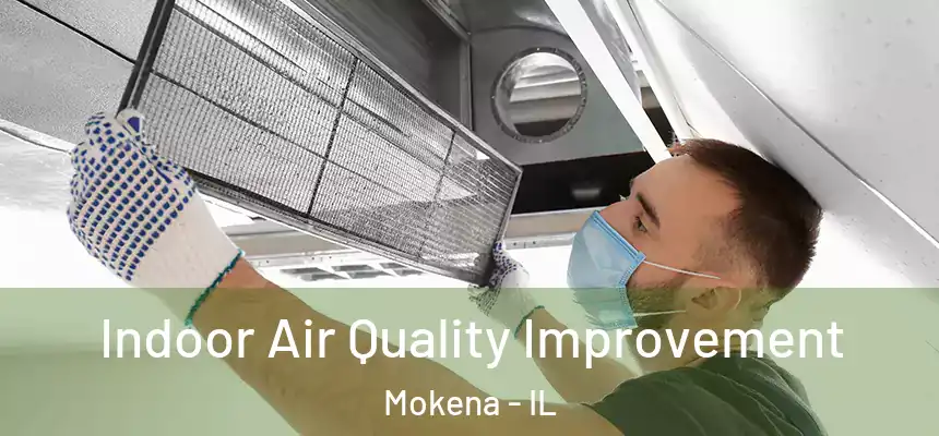  Indoor Air Quality Improvement Mokena - IL