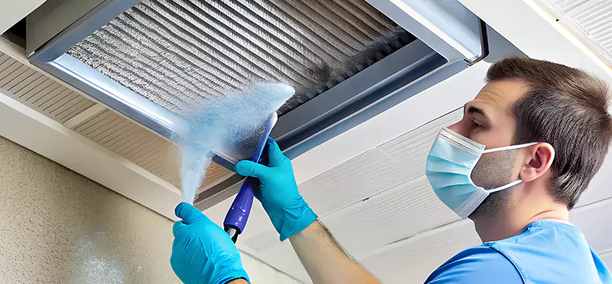 Proactive Dryer Vent & Auxiliary Duct Pollen Cleanup in Mokena, IL