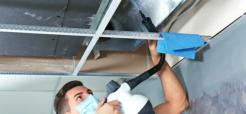 Our Air Duct Rodent Removal Services in Mokena, IL
