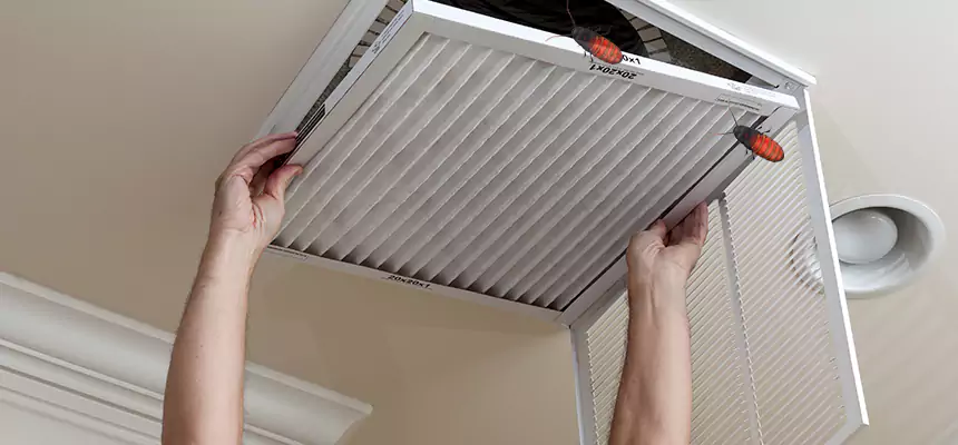 Our Insect Removal from Air Ducts Services in Mokena, IL