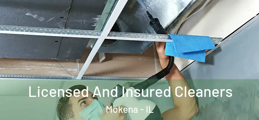  Licensed And Insured Cleaners Mokena - IL