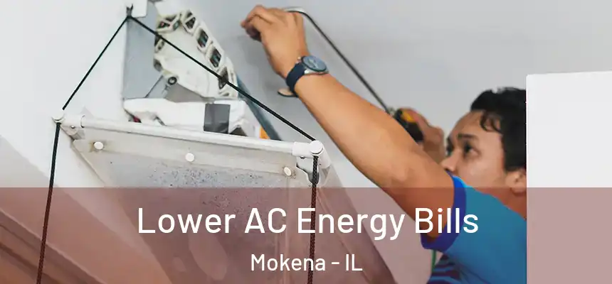  Lower AC Energy Bills Mokena - IL