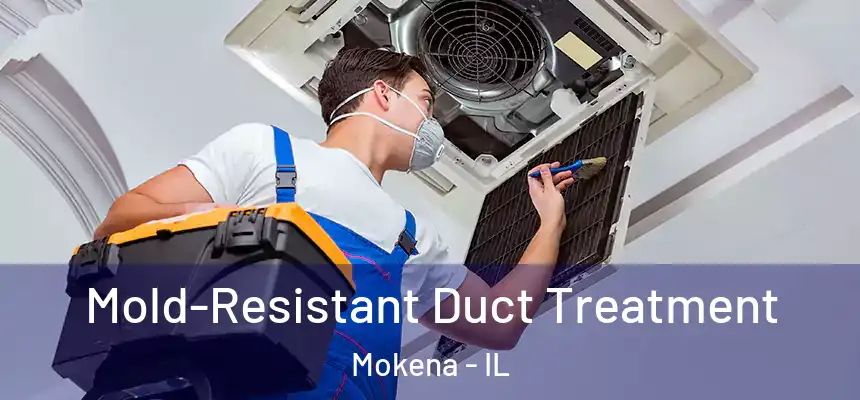  Mold-Resistant Duct Treatment Mokena - IL
