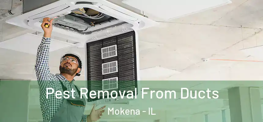  Pest Removal From Ducts Mokena - IL