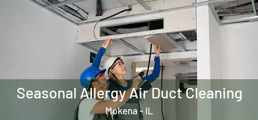  Seasonal Allergy Air Duct Cleaning Mokena - IL