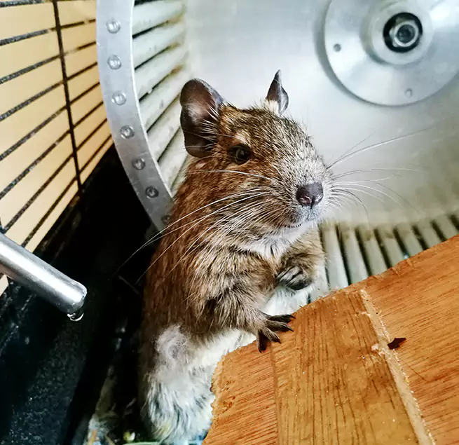 Why Homeowners & Businesses Trust Us Mokena, IL