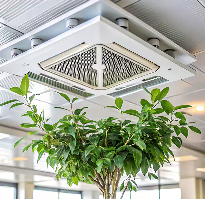 Why Homeowners & Businesses Trust Us in Mokena, IL