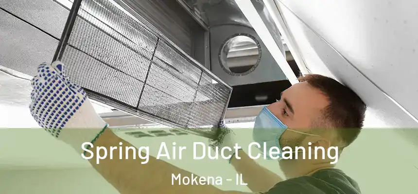  Spring Air Duct Cleaning Mokena - IL